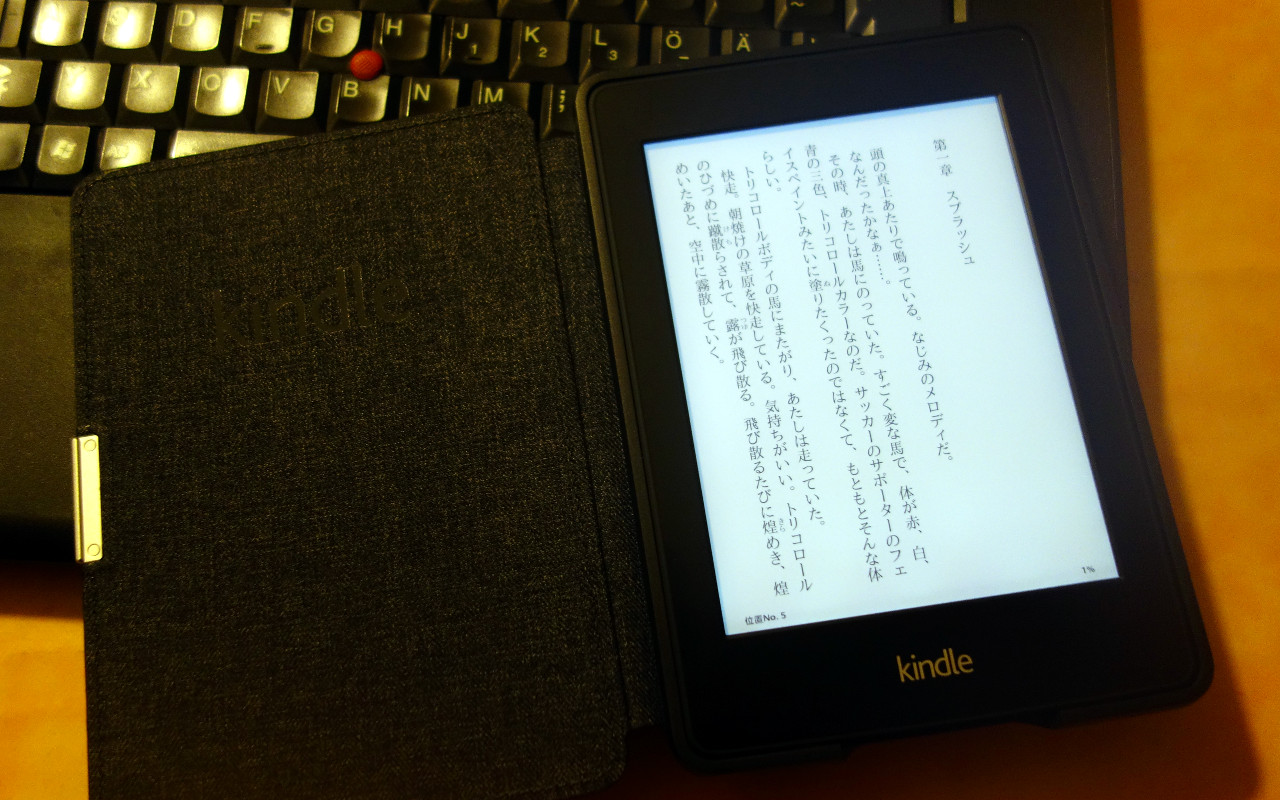 hardwarerelated:20131226_1910_kindle_paperwhite_vertical_japanese_aozora_small.jpg
